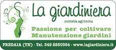Standard Sponsor ASD PREDAIA Giardiniera.jpg